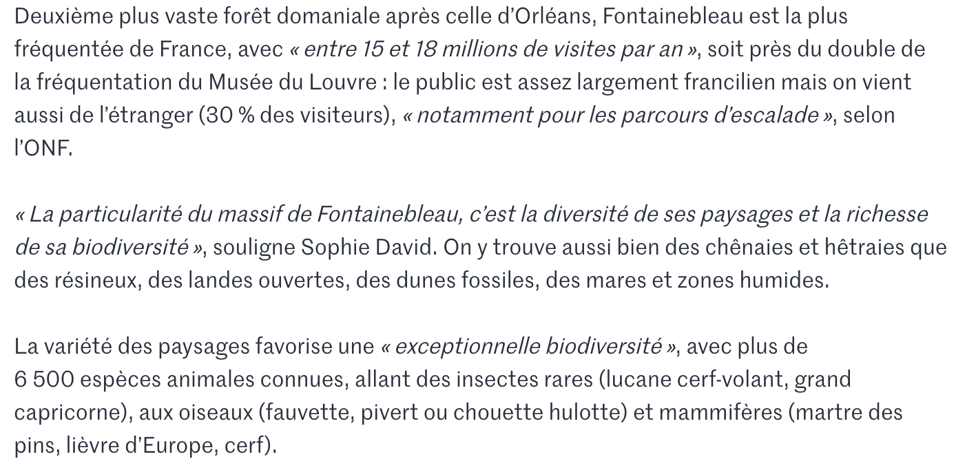 Incendies-en-fore-t-de-Fontainebleau-1-300-hectares-parcourus-et-deux-interpellations-annonce-Laurent-Nun-ez-07-14-2026_09_43_AM