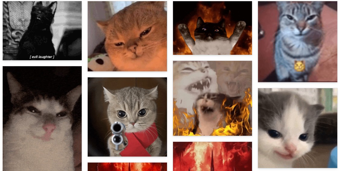 chat